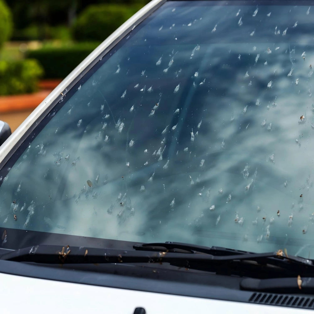 Car windshield covered with bug splatter bird droppings and road grime before glass cleaning